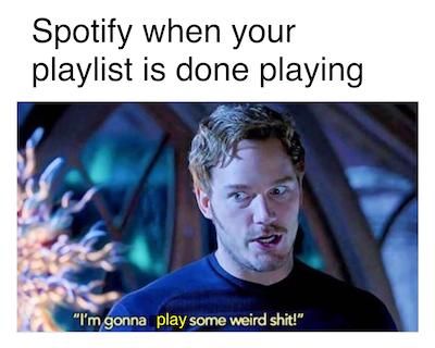 rkf57rmzcpl31.jpeg