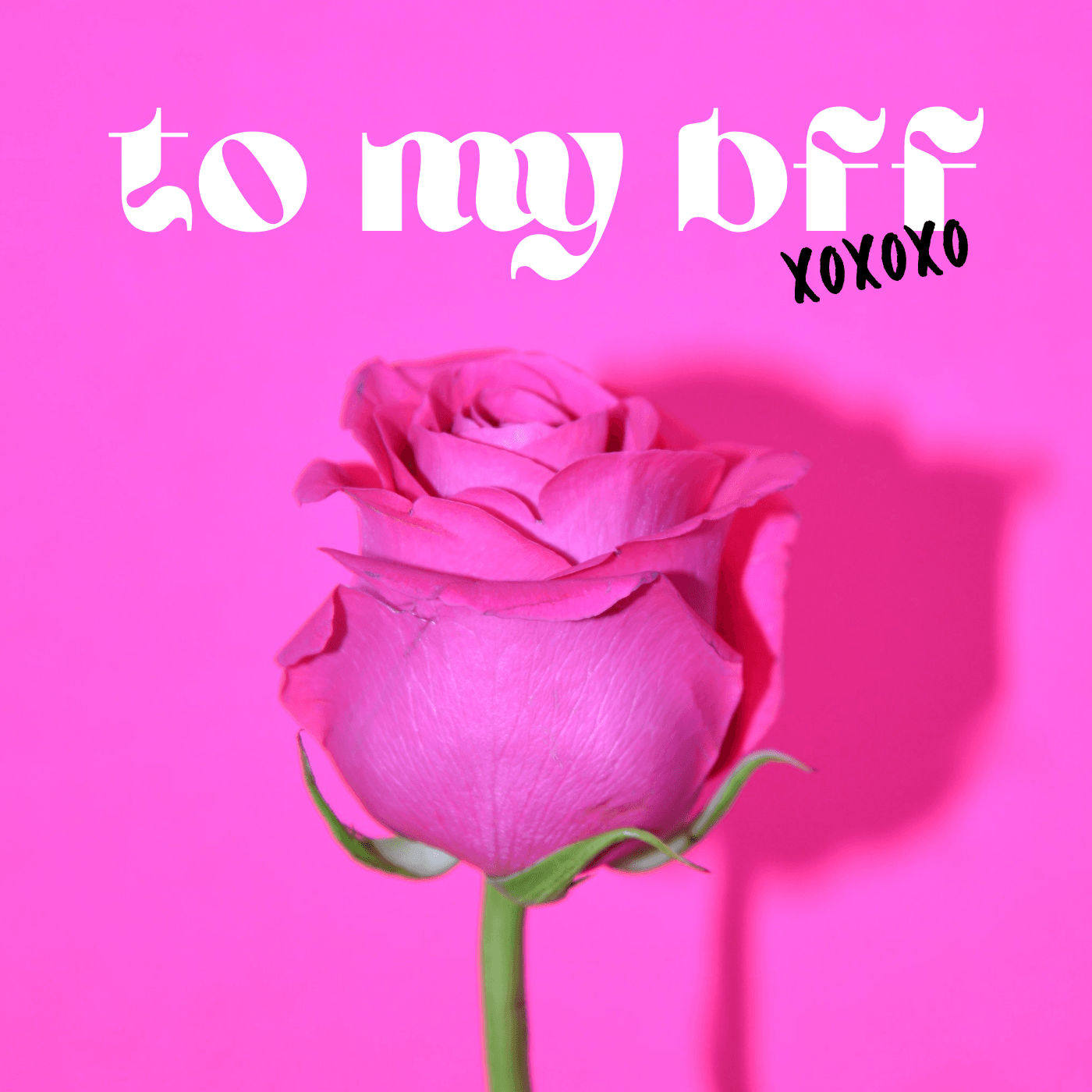 Pink Rose Femme Aesthetic PartyDancePop Playlist Cover.png