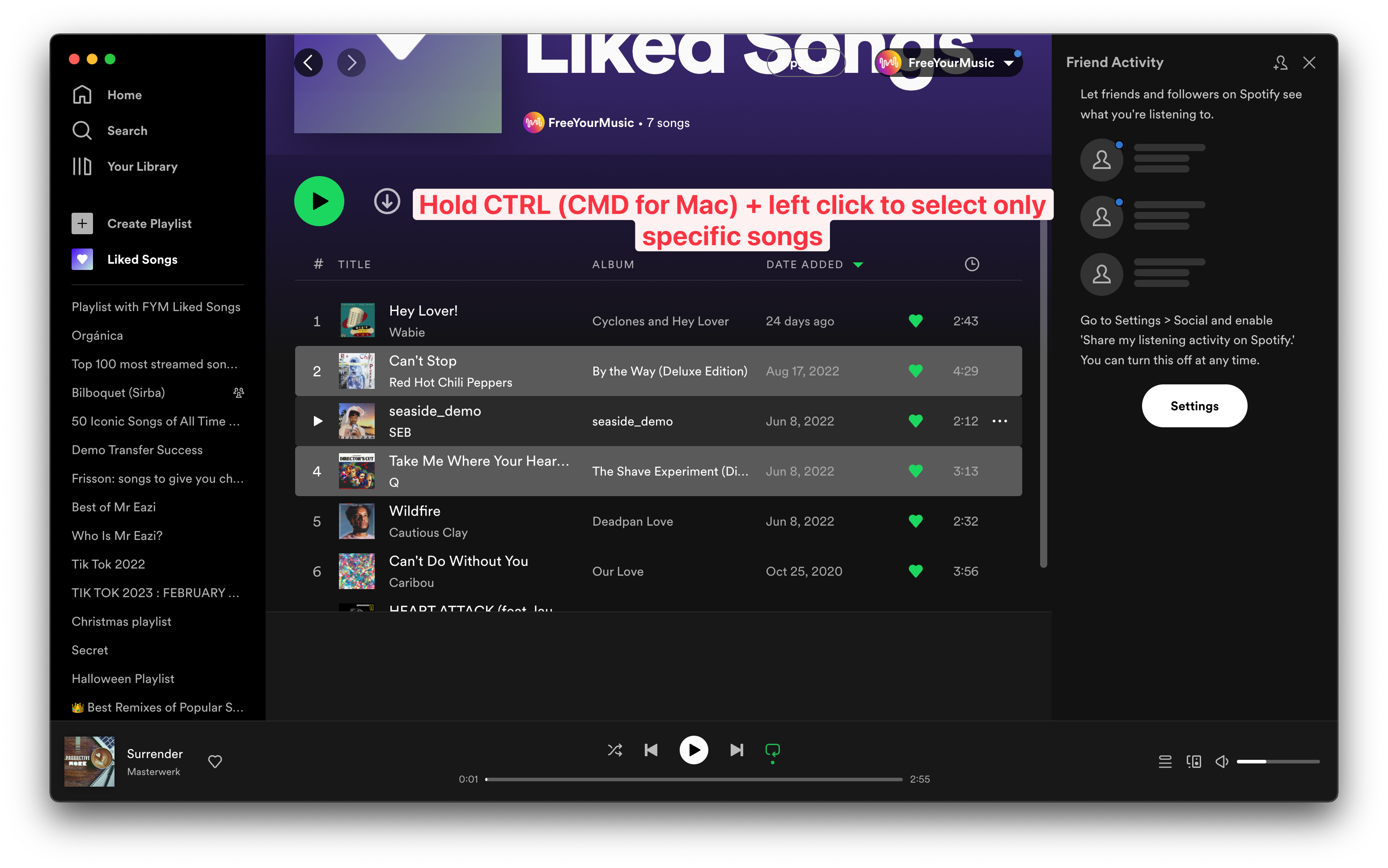 Multiple Songs Screenshot