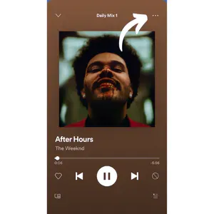 Spotify Sleep Timer iOS step 2: open options Finding-Sleep-Timer-option-in-Spotify.png
