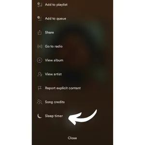 Spotify Sleep Timer iOS step 3: find Sleep Timer option Sleep-Timer-option-for-music.png