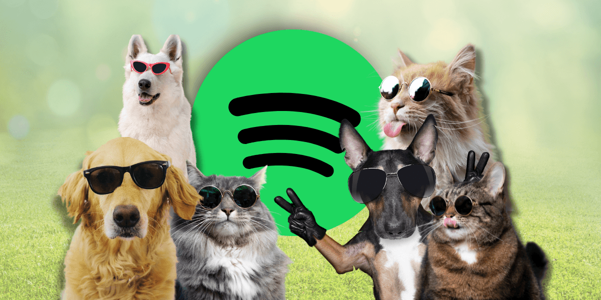 spotify-cool-features-pets-image