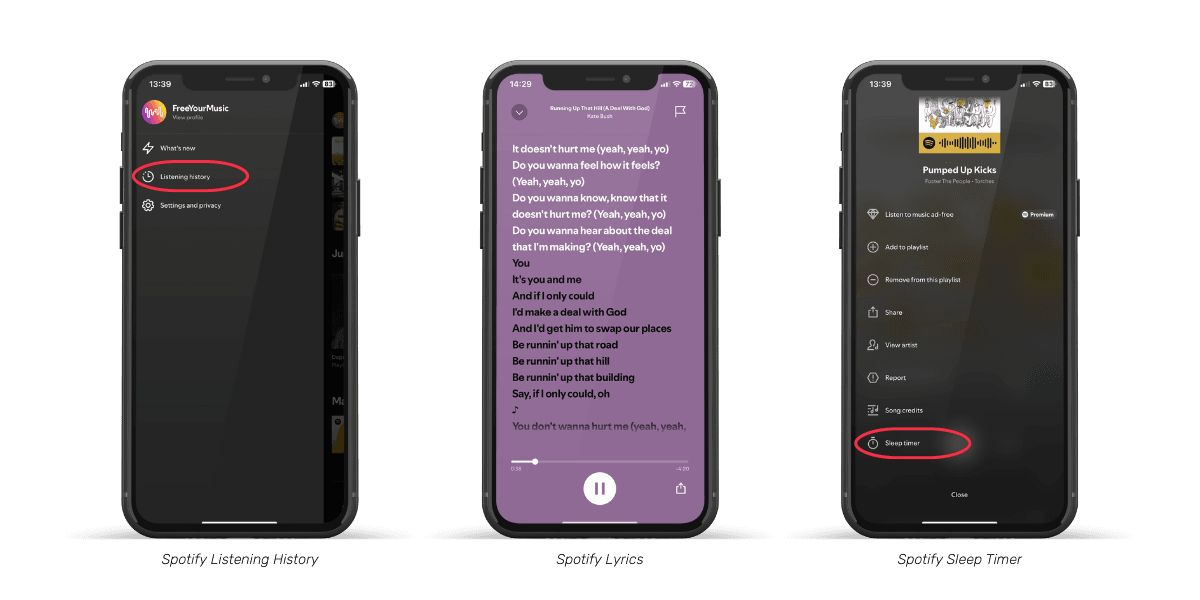 spotify-features-screenshot-1