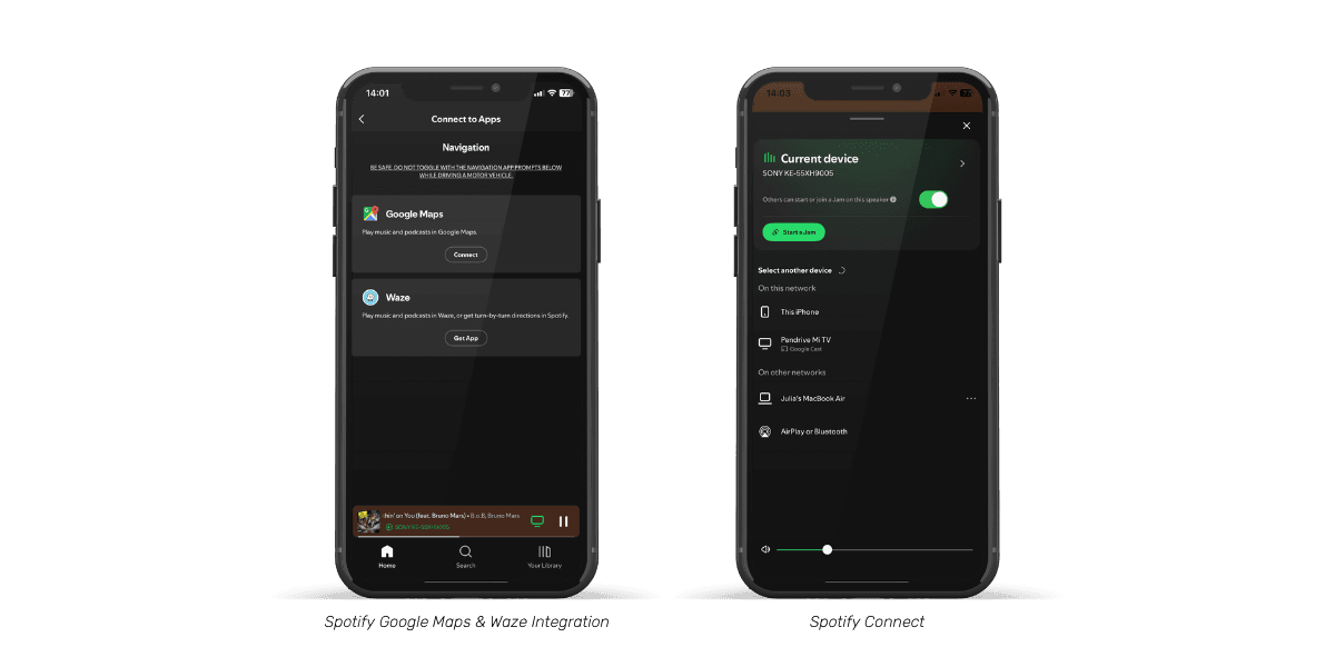 spotify-features-screenshot-5
