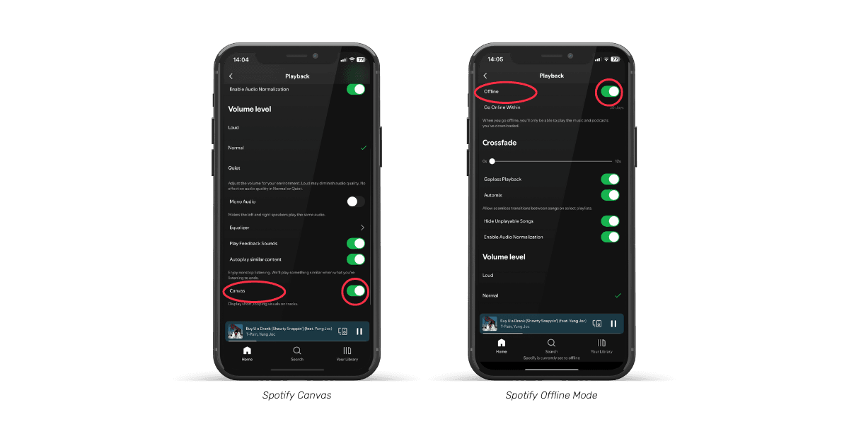 spotify-features-screenshot-6